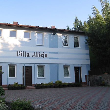 Villa Alicja กดัญสก์ ภายนอก รูปภาพ