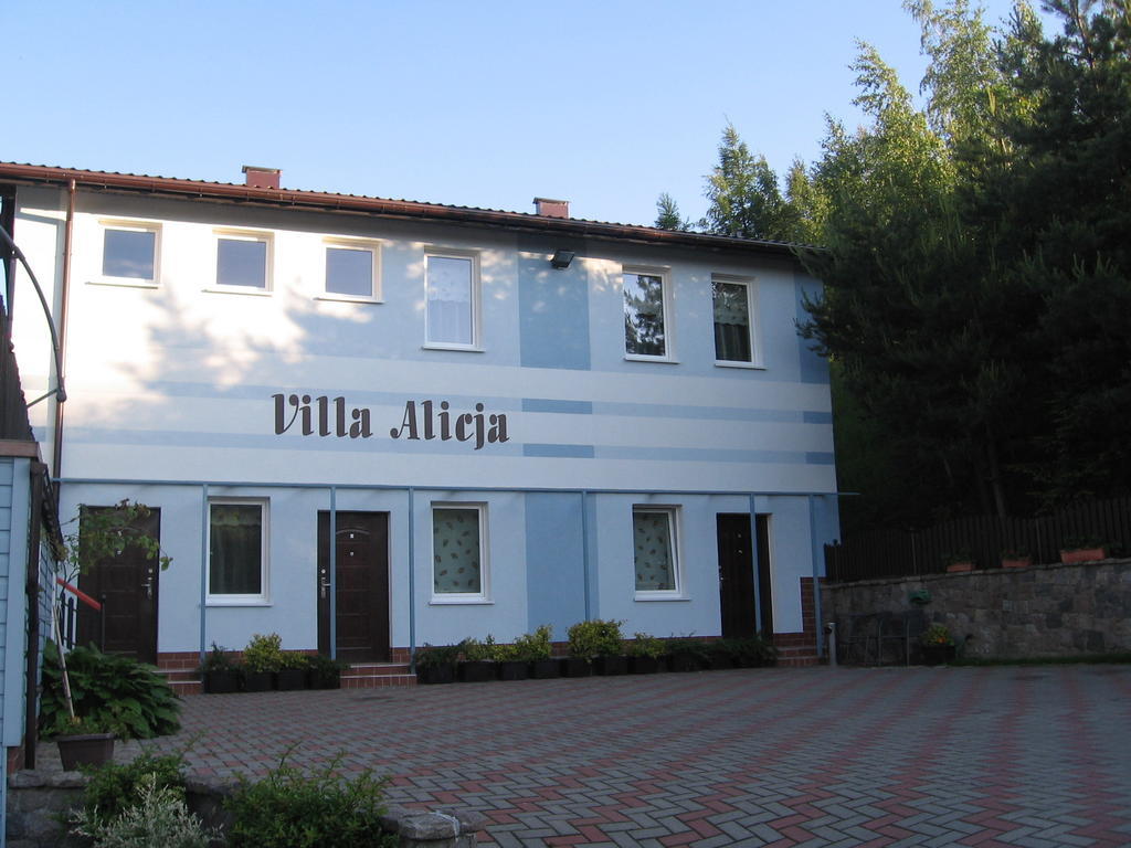 Villa Alicja กดัญสก์ ภายนอก รูปภาพ